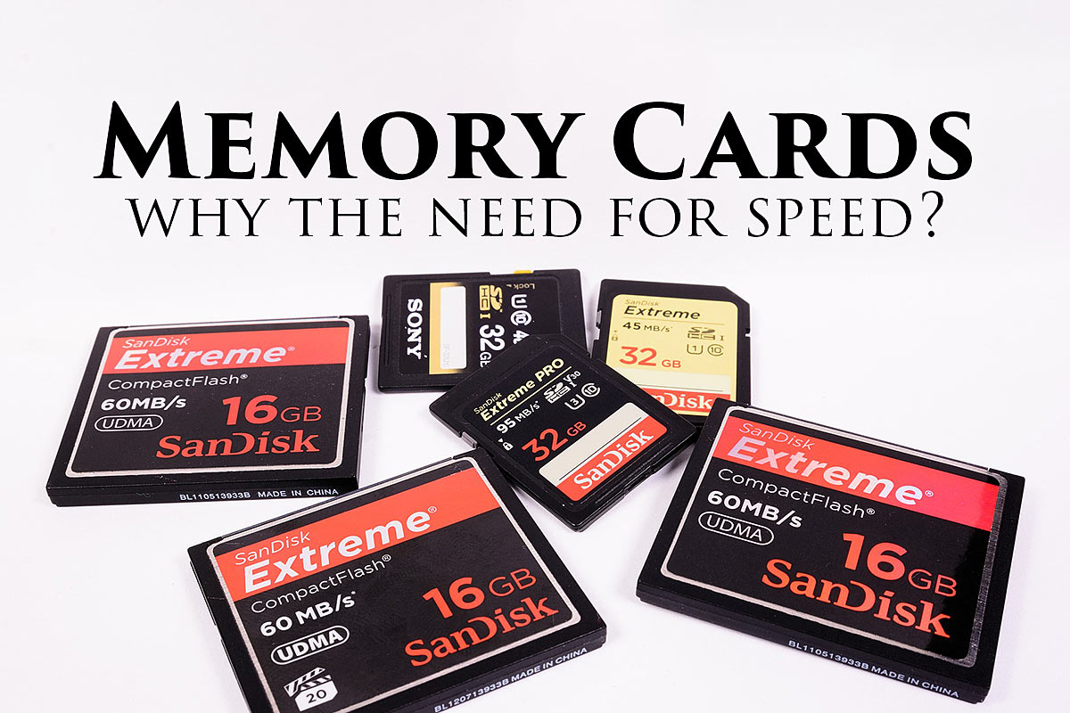 Camera Memory Cards on white