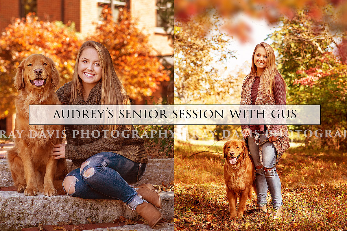 Senior Photographer in Louisville KY photographs girl with golden retriever dog